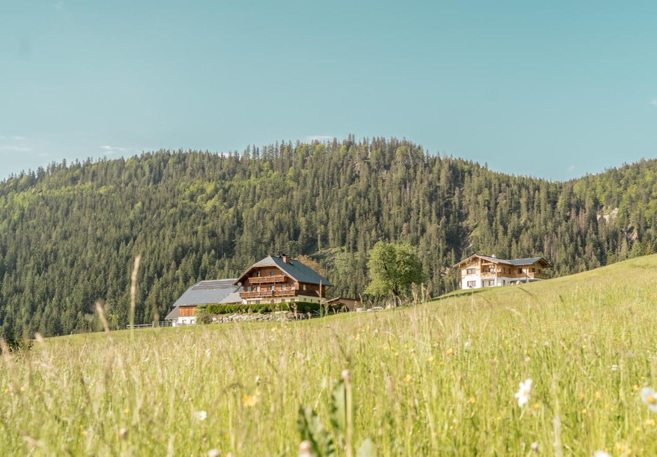 Bio Bauernhof Oberhinterberg Appartement Annaberg im Lammertal Exterior foto